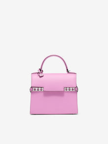 (Tempete)_Tempête Small Alpina Calf Orchid